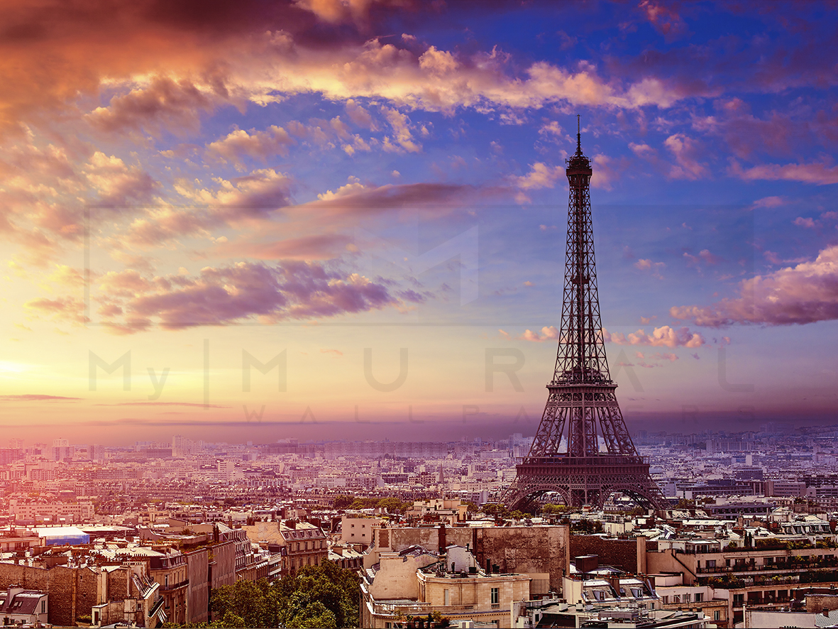 Eiffel Tower Skyline Aerial