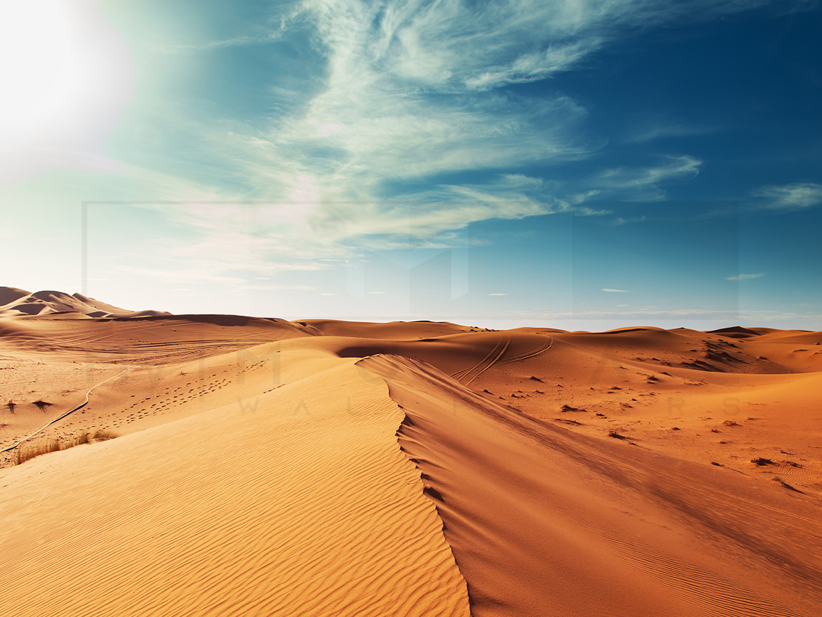 Saara's Desert