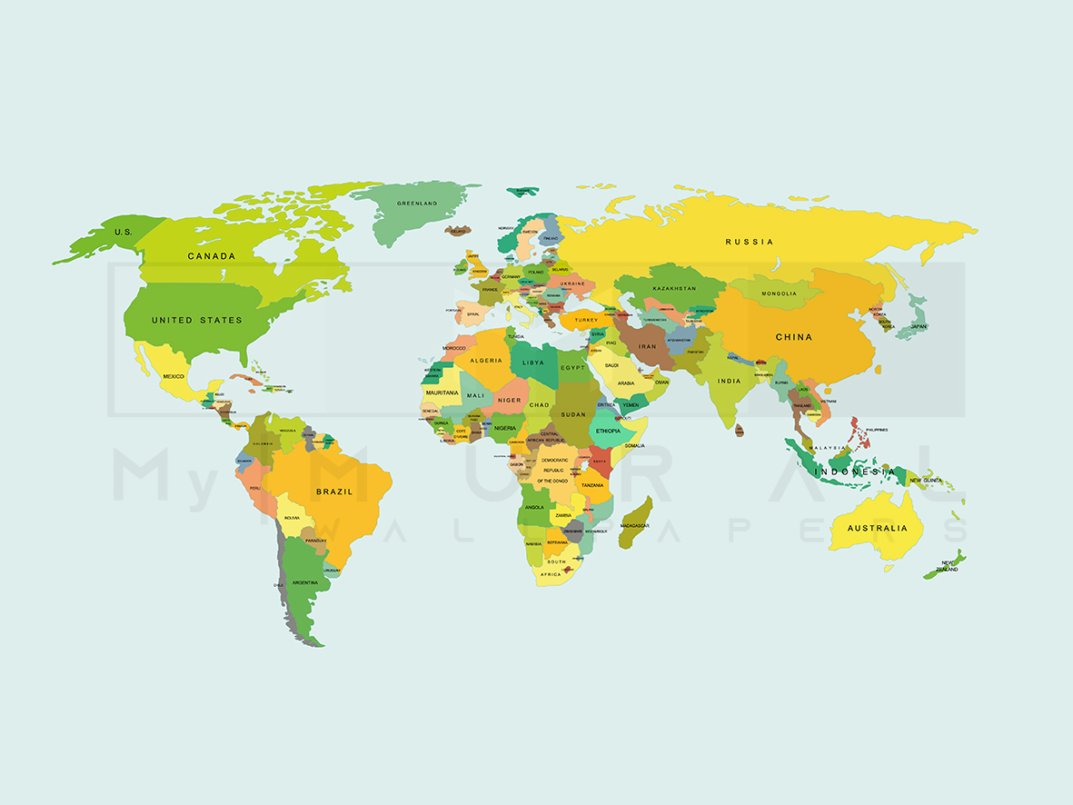 World Standard Map